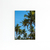 Quadro Decorativo Beleza Tropical