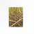 Quadro Decorativo Raízes da Natureza na internet