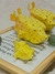 Pipa/portasumerio boxfish en internet