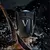 PACO INVICTUS VICTORY 100ml - comprar online