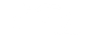 Sirena Beachwear - Sinta o verão. Viva Sirena.