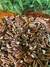 Noz Pecan 100g