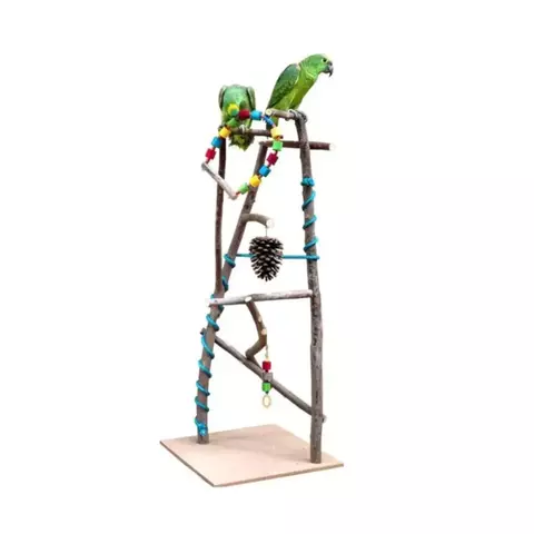 Parque Médio Natural Para Aves