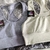Conjunto reptil - tienda online