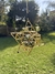Imagen de Merkabah Cristico - Negro / Oro