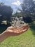 Icosaedro - Plata - PortalCora