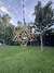 Merkabah Cristico -Oro/Negro - PortalCora