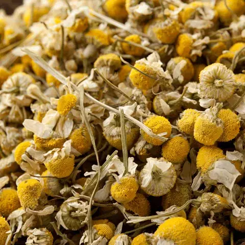 Manzanilla solo Flor X100grs (A granel) - comprar online