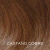 Ponytails - comprar online