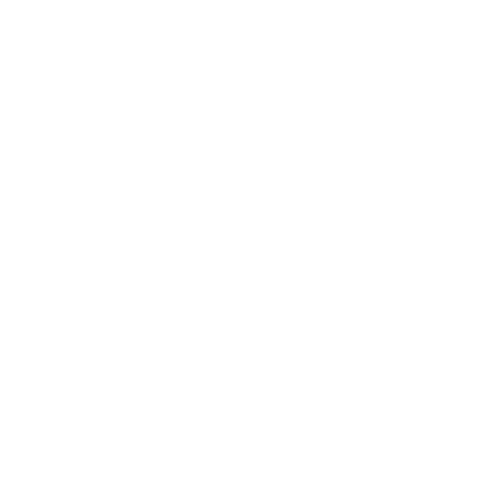 NitroStyles