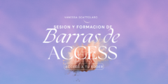 Banner de la categoría FORMACION EN BARRAS DE ACCESS