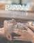 Sesion de Barras de Access en internet