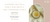 Carrusel Zuri Aromas