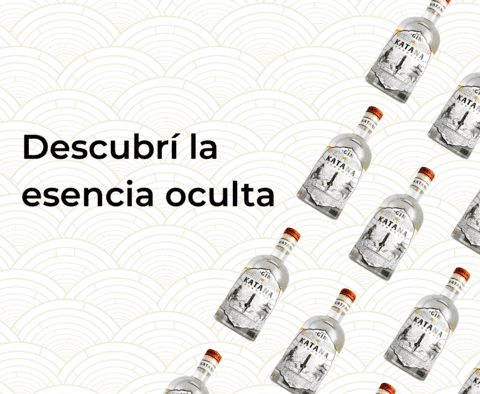Carrusel 1