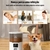 Alimentador Automático de 4L para Gatos e Cães WiFi Smart na internet