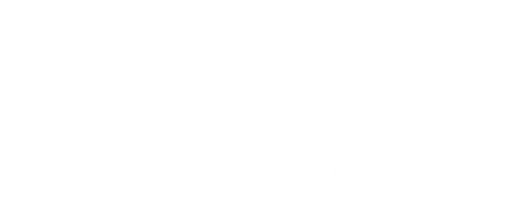 Olli Comfort