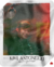 Camisa Kimi Antonelli - loja online