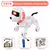 ZWN-RC Robot Electronic Stunt Dog Toys, Comando de Voz, Programável, Touch-Sense com Música, Canção, Presentes Infantis - loja online