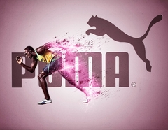 Banner de la categoría Puma 