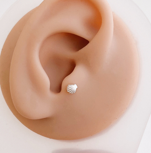 Piercing formato concha para cartilagem