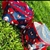 LUNCHERA SPIDERMAN - comprar online