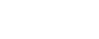 ZN Perfumes