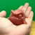 Baby Critter Newborn