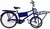 Bicicleta Cargueira na internet