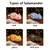 Axolote de peluche bonito en varios colores en internet