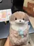 Imagen de Nutria bonita de peluche
