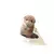 Nutria bonita de peluche en internet