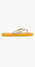 Chinelo Unissex Colcci Institucional - loja online