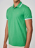 Polo Colcci
