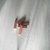 Labial ''Vinyl''