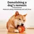 Pelota interactiva CatPlay® en internet