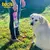 Botella PetWater® en internet