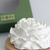 Flor de gesso Le Lis - loja online