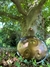 Handpan en internet