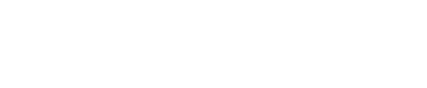 SS Digital