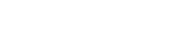 SS Digital