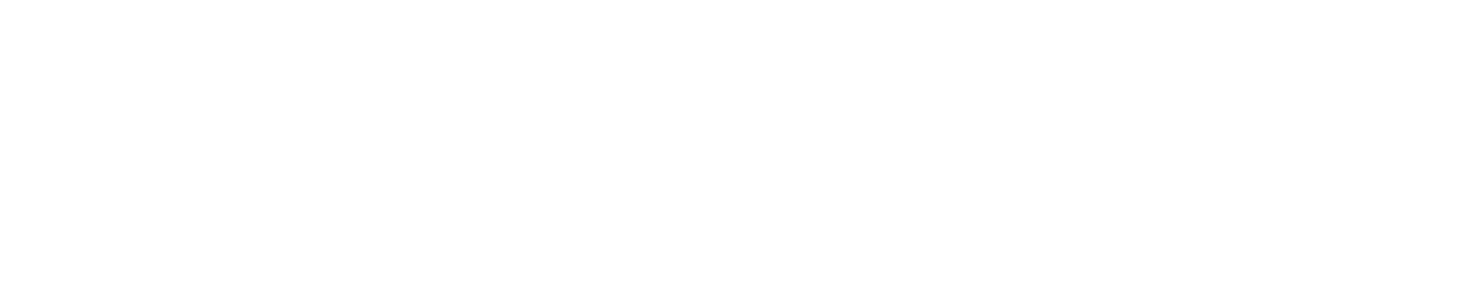 SS Digital