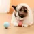 Bola de Brinquedo Inteligente para Cachorro/Gato: O Brinquedo Interativo Eletrônico que Transforma a Diversão do Seu Pet! ?? - loja online