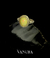 950 Sterling Silver Ring with Opal Inlay on internet