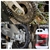 SANDET 955 5L - loja online
