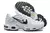 AIR MAX PLUS TN '' Silver Swoosh '' na internet