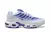 AIR MAX PLUS TN '' Purple Dragon '' na internet