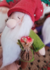 Gnominho Mágico com chapéu vermelho, barba branca e roupa verde, segurando uma bolsa com um cogumelo.