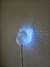 Leon Led en internet
