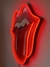 The Rolling Stones con