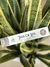 Imalaya Incense en internet